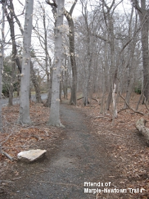 Glenwood Cemetery Path